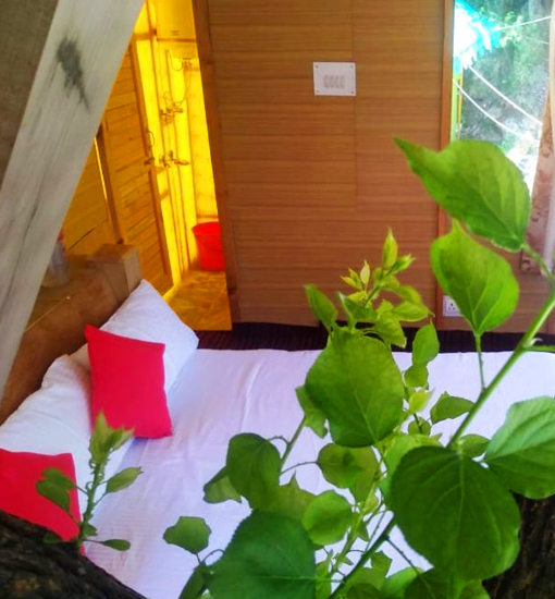 Fun Hotels and Camps