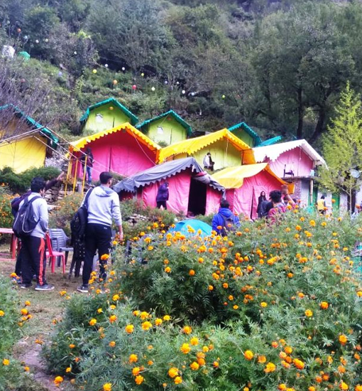 Fun Hotels and Camps