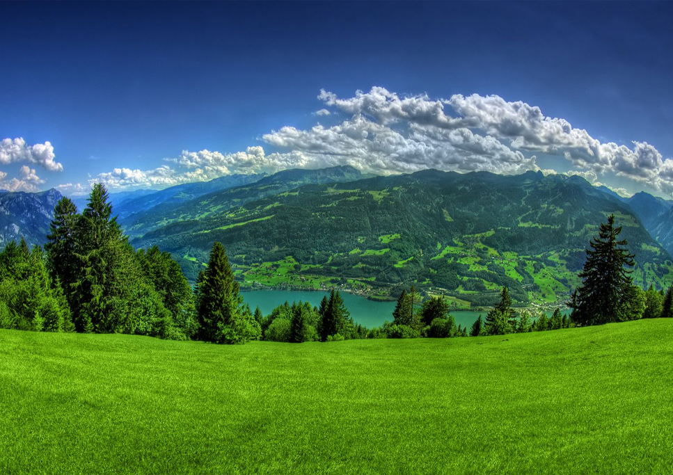 Fun Hotels and Camps