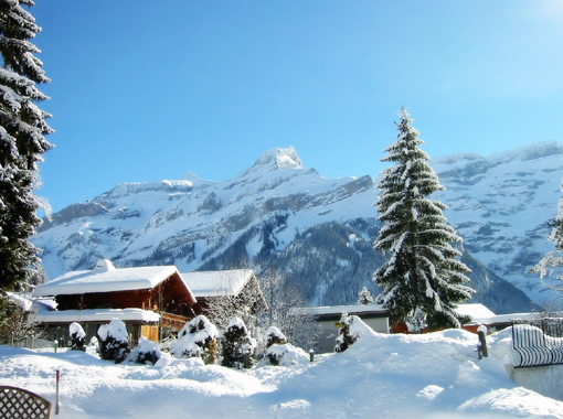 Fun Hotels and Camps