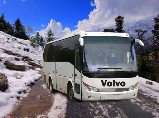 Fun Hotels and Camps