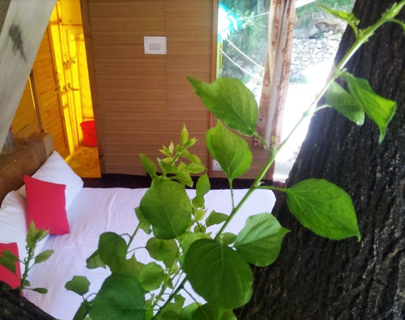 Hotel Vikrant Manali