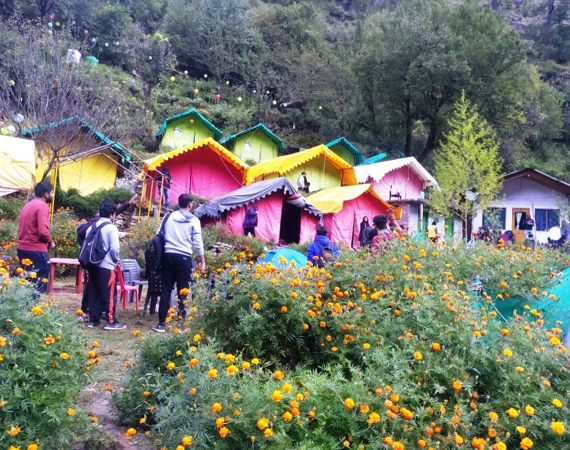 Hotel Vikrant Manali