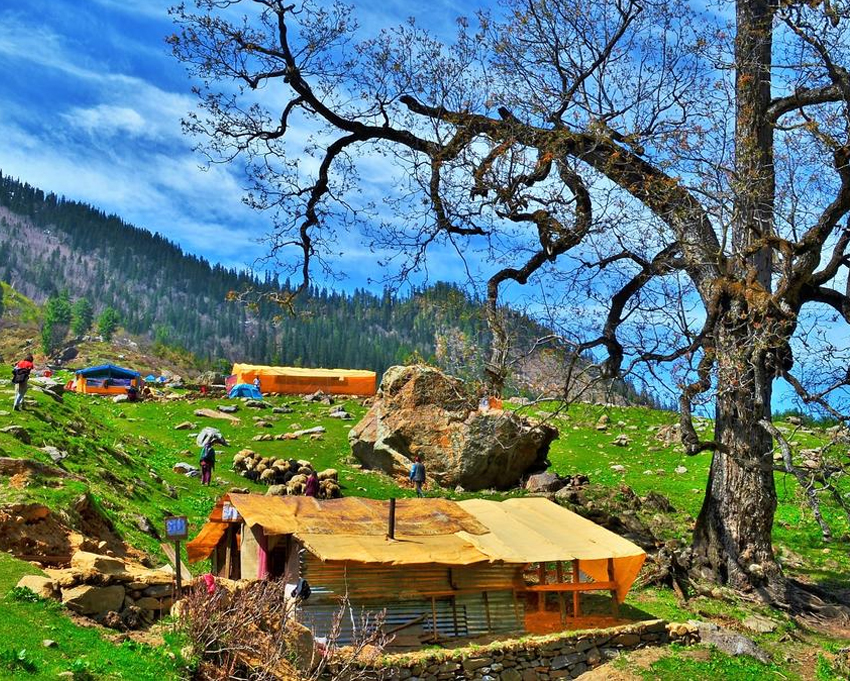 Kasol – Malana – Kheerganga by Volvo & private car